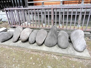 五料飯玉神社 (7)