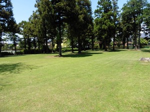 脇屋赤城神社 (7)