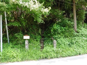 多胡神社 (1)