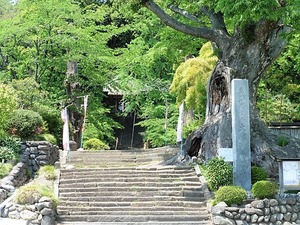 大聖峯寺 (1)