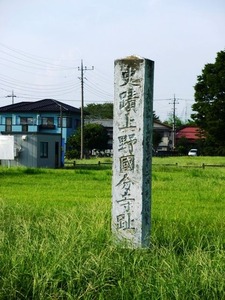 上野国分寺址 (5)