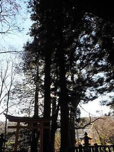 萩生浅間神社 (9)