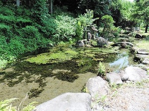 中郷菅原神社 (4)