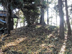 八幡原若宮八幡宮 (9)