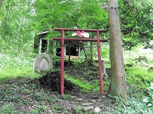 上日野鹿島神社 (12)