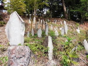 若子持神社 (6)