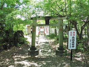 倉賀野神社・北向道祖神 (1)