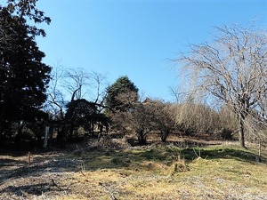 五社稲荷神社 (2)