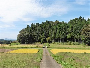 中山神社 (1)