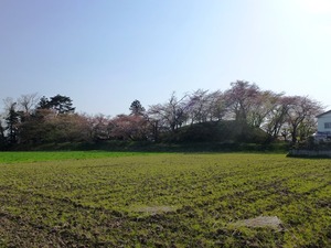 将軍塚古墳 (1)