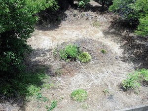 樋越神明宮 (2)