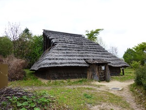 矢瀬遺跡 (1)