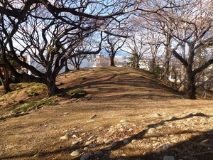 天川二子山古墳 (3)