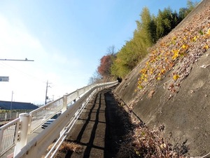 鷹巣神社 (2)