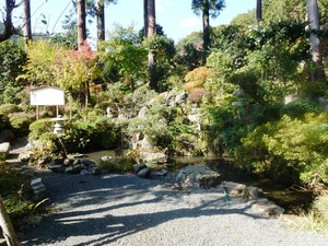 高園寺 (5)