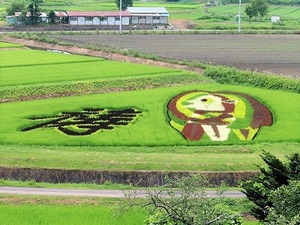 田んぼアート2020