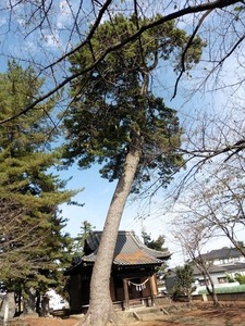 太奈荷神社 (10)