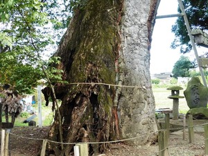 川田神社 (7)