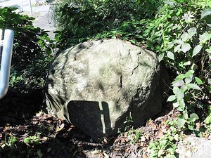 珊瑚寺の七不思議 (1)