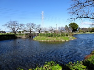 妙参寺沼親水公園 (1)