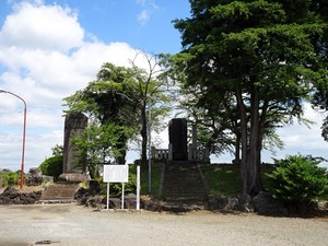藤岡諏訪神社３ (15)