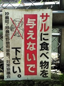 随應寺 (11)
