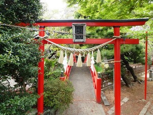 前橋・神明宮 (5)