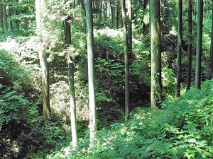 中山城址 (9)