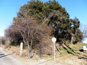 無量寿寺 (5)