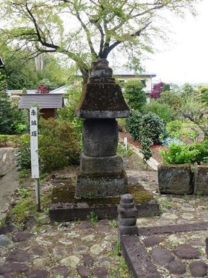 近戸神社 (7)