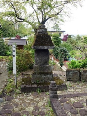 近戸神社 (7)