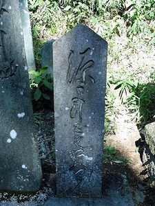 珊瑚寺 (3)
