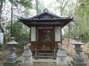 前橋・御霊神社 (3)