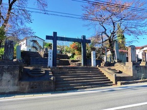 東吾妻町・善導寺 (1)