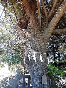 井出上神社 (9)