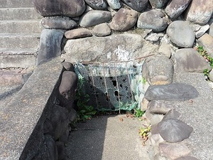 稲荷神社 & 安中4号墳 (2)