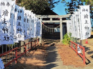 堀下飯玉神社 (3)