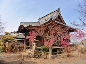 薬師寺 (3)