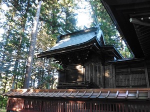 川戸神社 (5)