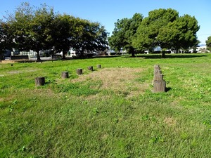 中溝・深町遺跡 (6)