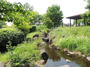 玉村町北部公園 (9)