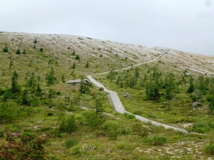 白根山・湯釜 (2)