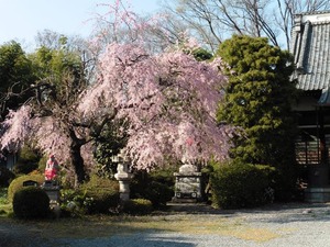 神楽寺 (5)