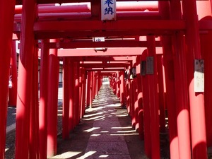 小泉神社 (4)