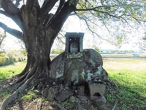 石塚の虎薬師 (2)