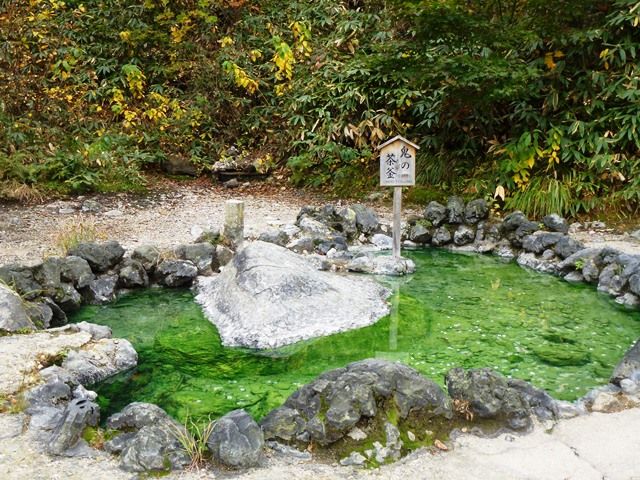 上州まったり紀行
草津温泉・西の河原公園
コメント Tigerdream