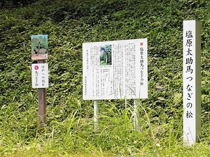 塩原太助・馬つなぎの松 (3)
