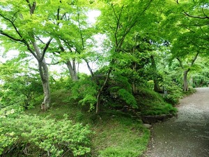 少林山B号古墳 (1)