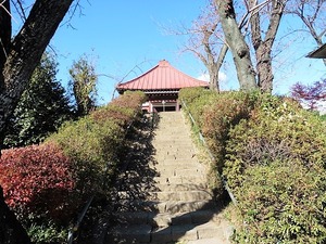 西光寺 (9)