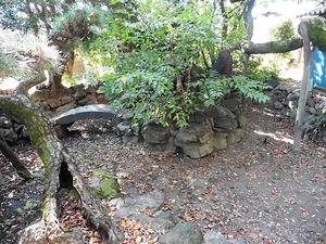 半田早尾神社 (4)